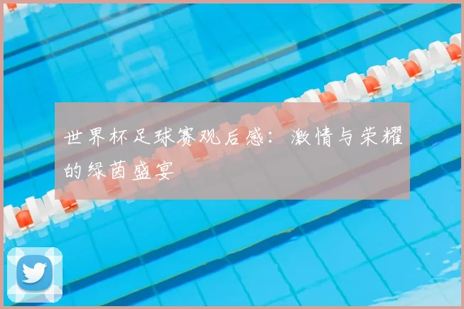 世界杯足球赛观后感：激情与荣耀的绿茵盛宴