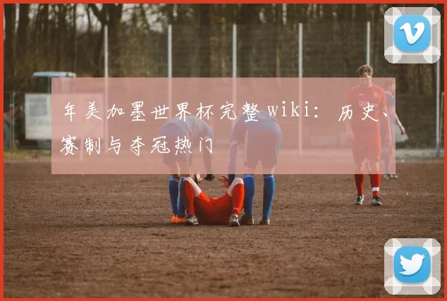 年美加墨世界杯完整 wiki：历史、赛制与夺冠热门